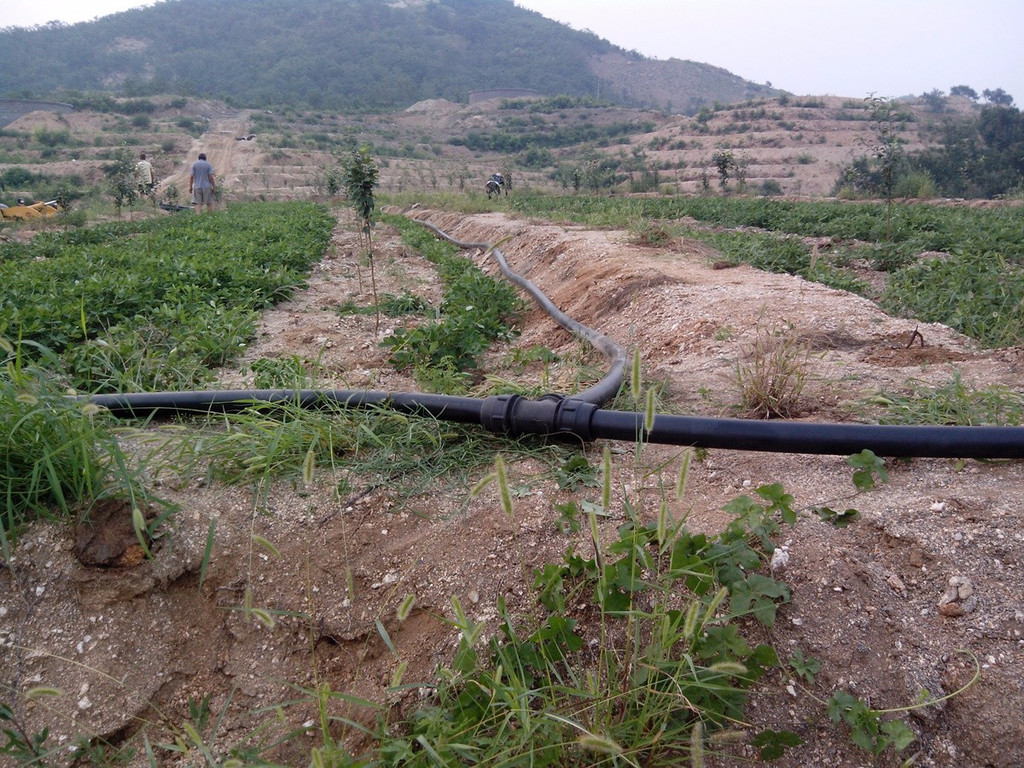 無土栽培，無土栽培技術(shù)，無土栽培設(shè)備